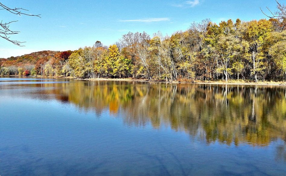 Radnor Lake State Park, Tennessee, USA